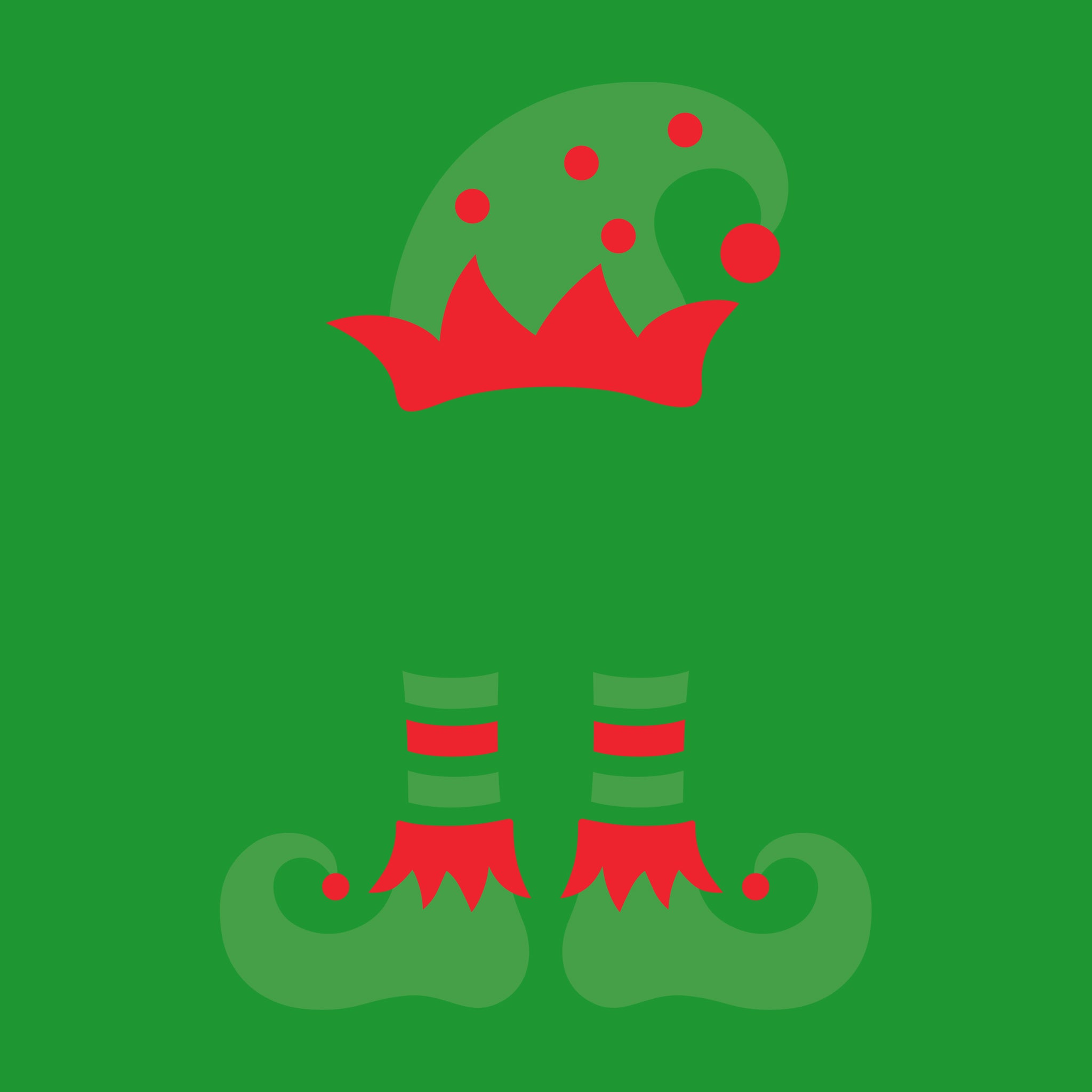 Elf hat and shoes