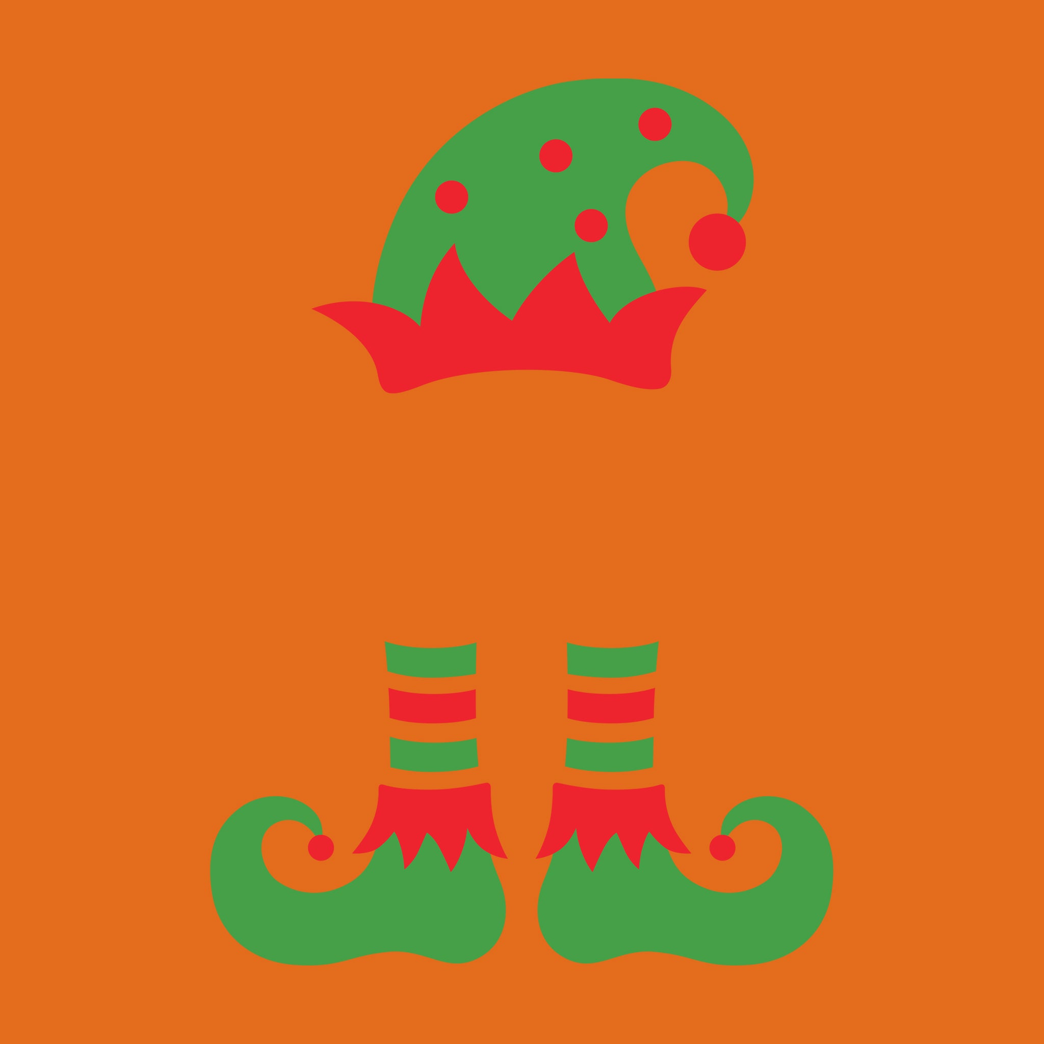 Elf hat and shoes