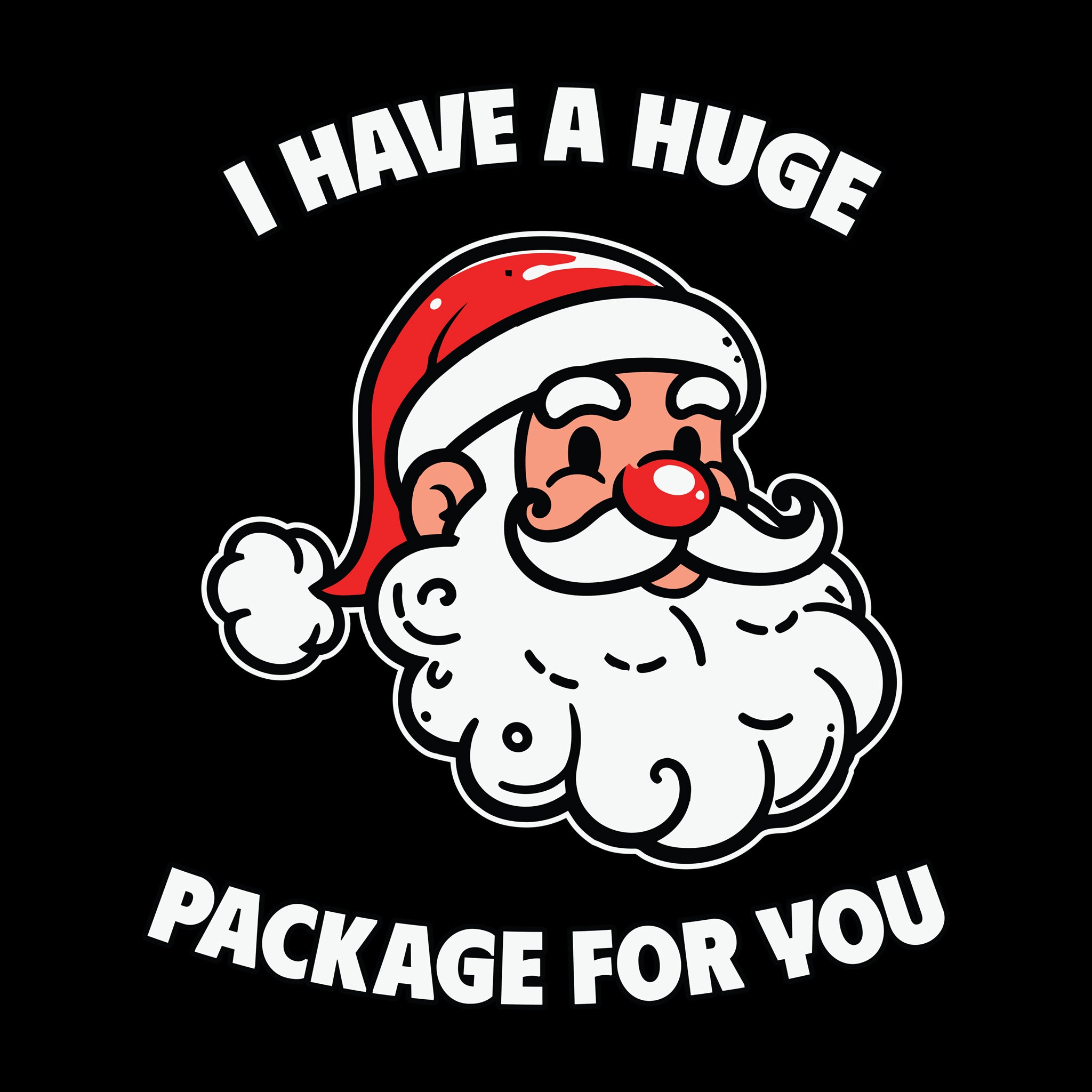 Santa I Have A Huge Package for You
