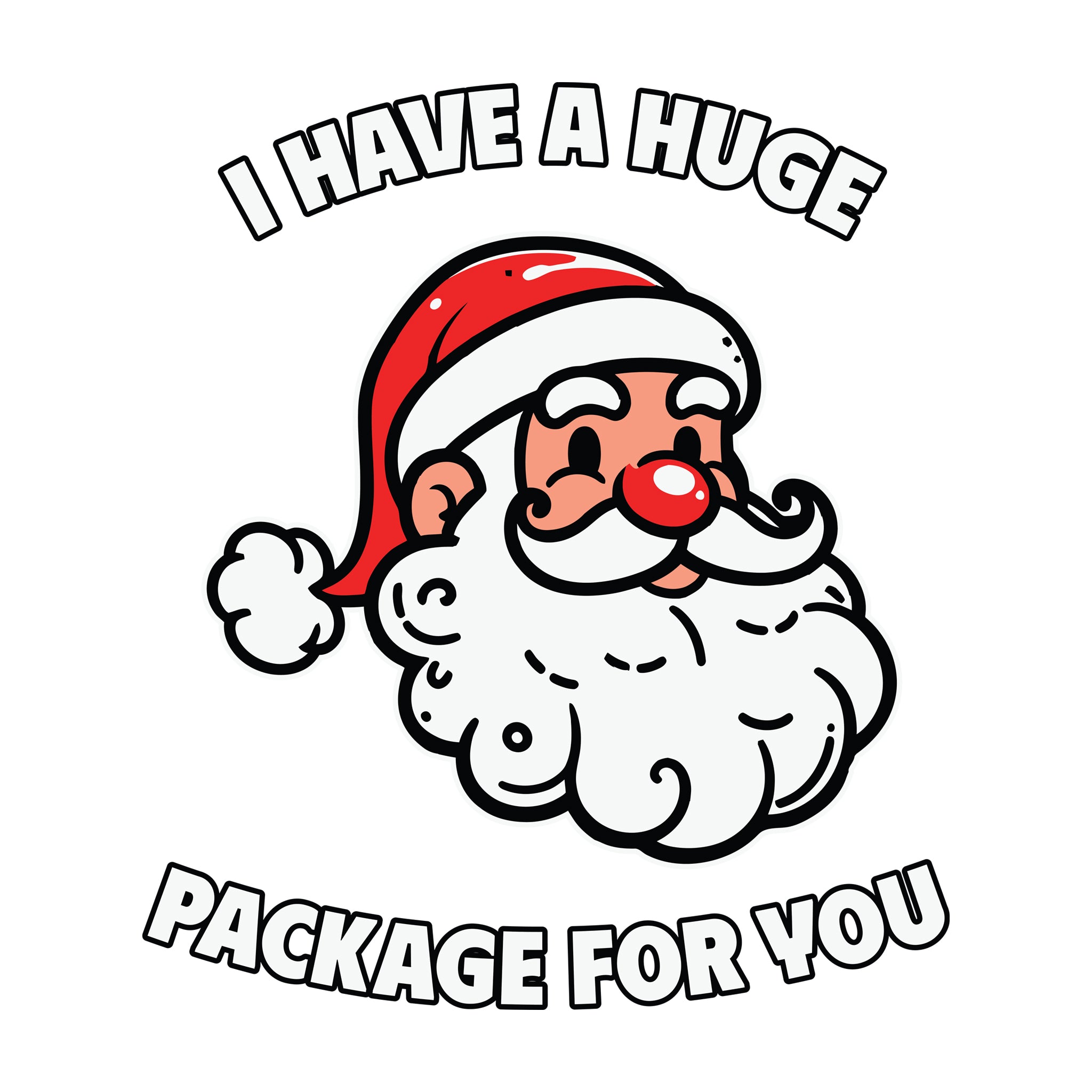 Santa I Have A Huge Package for You