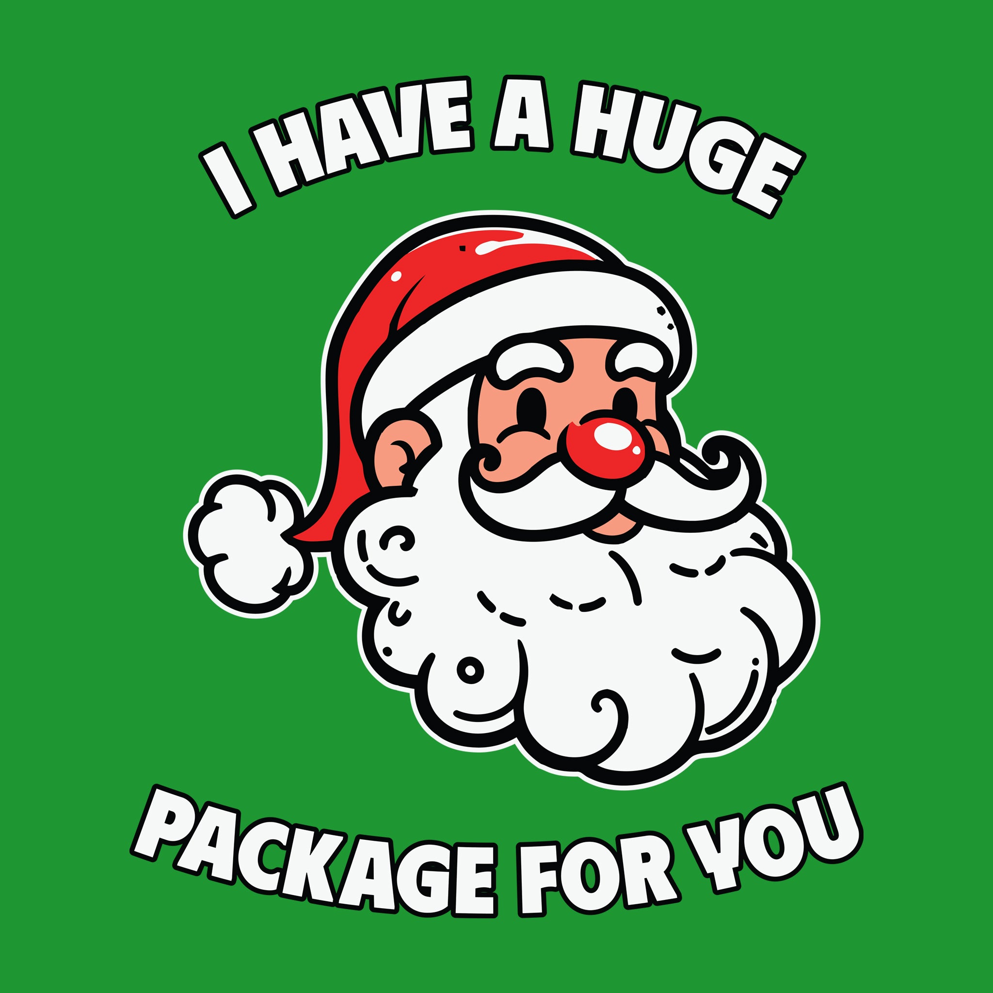 Santa I Have A Huge Package for You