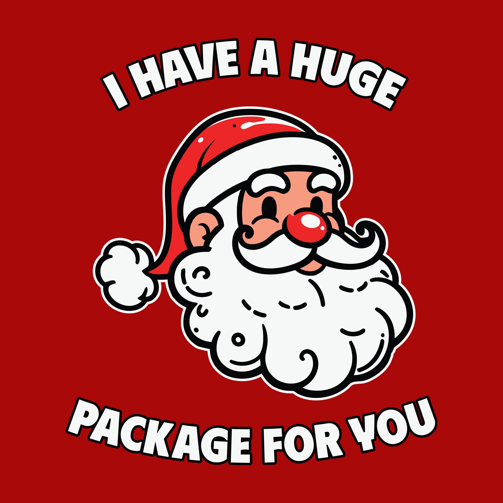 Santa I Have A Huge Package for You
