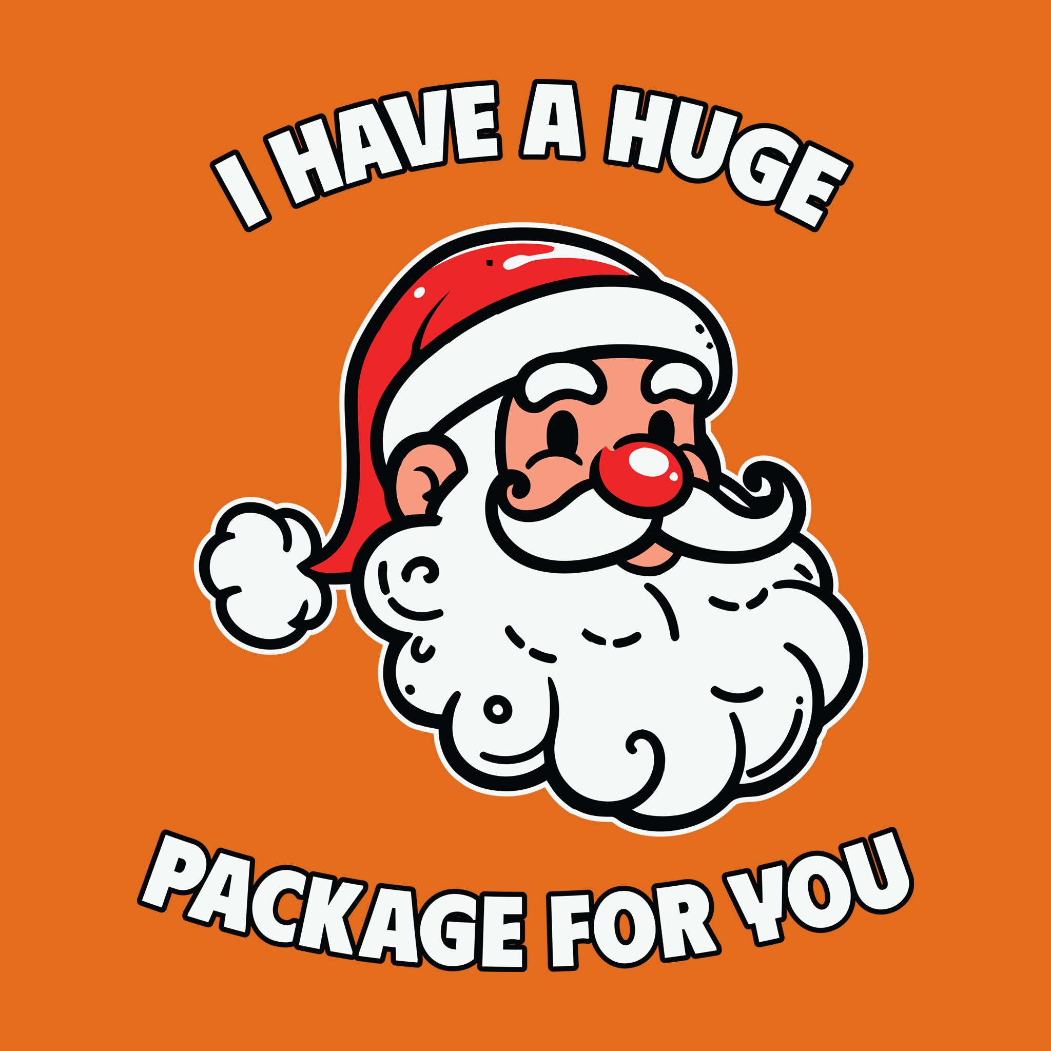 Santa I Have A Huge Package for You