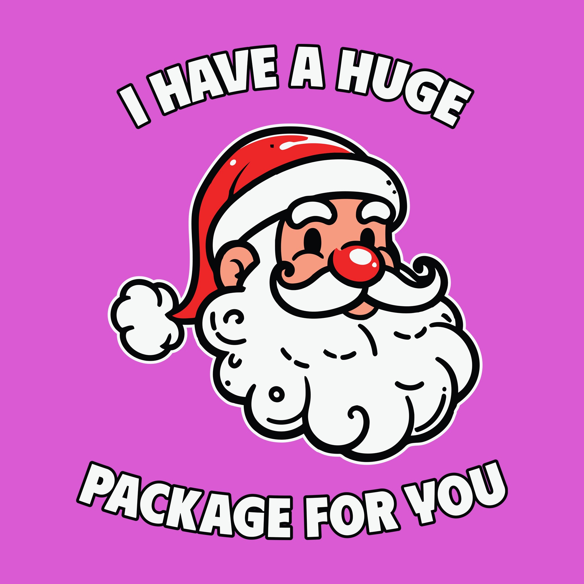 Santa I Have A Huge Package for You
