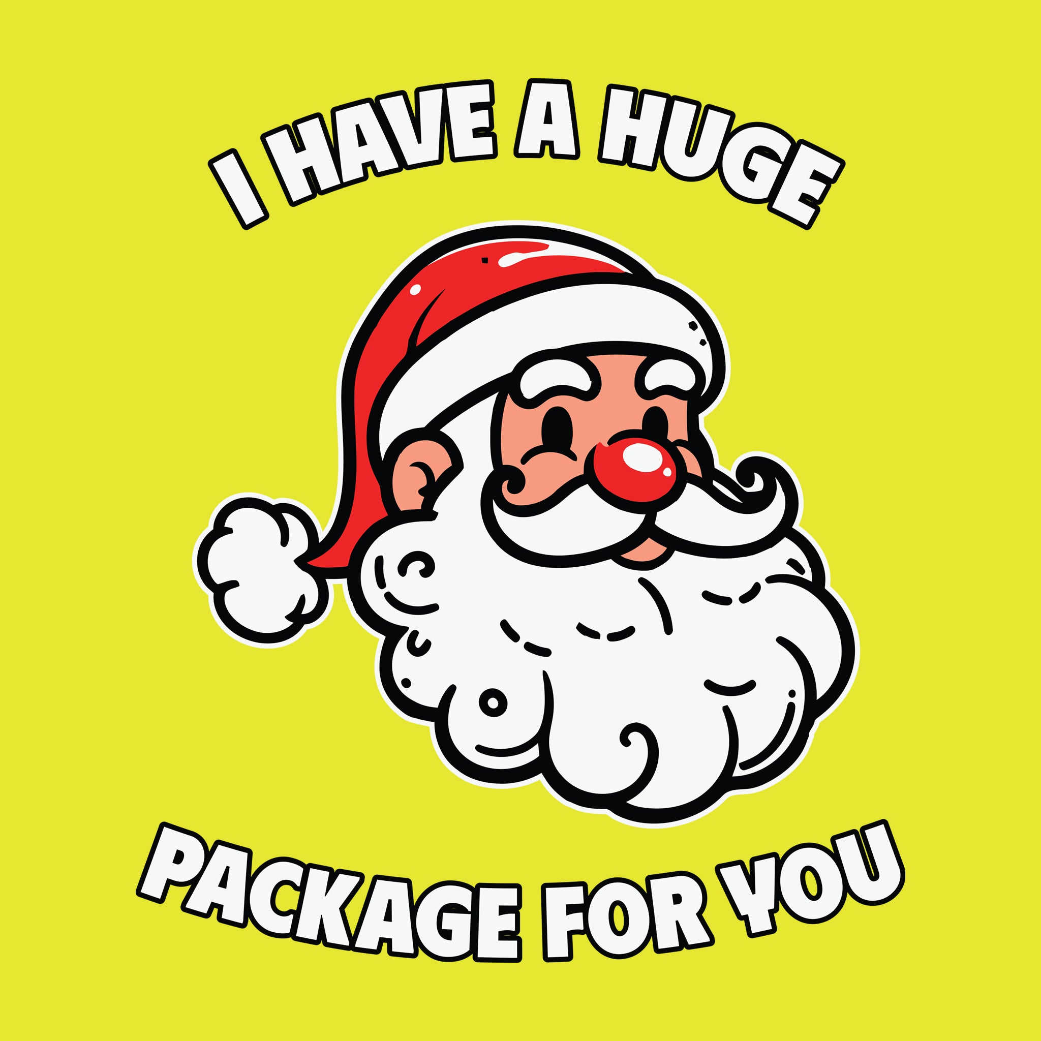 Santa I Have A Huge Package for You