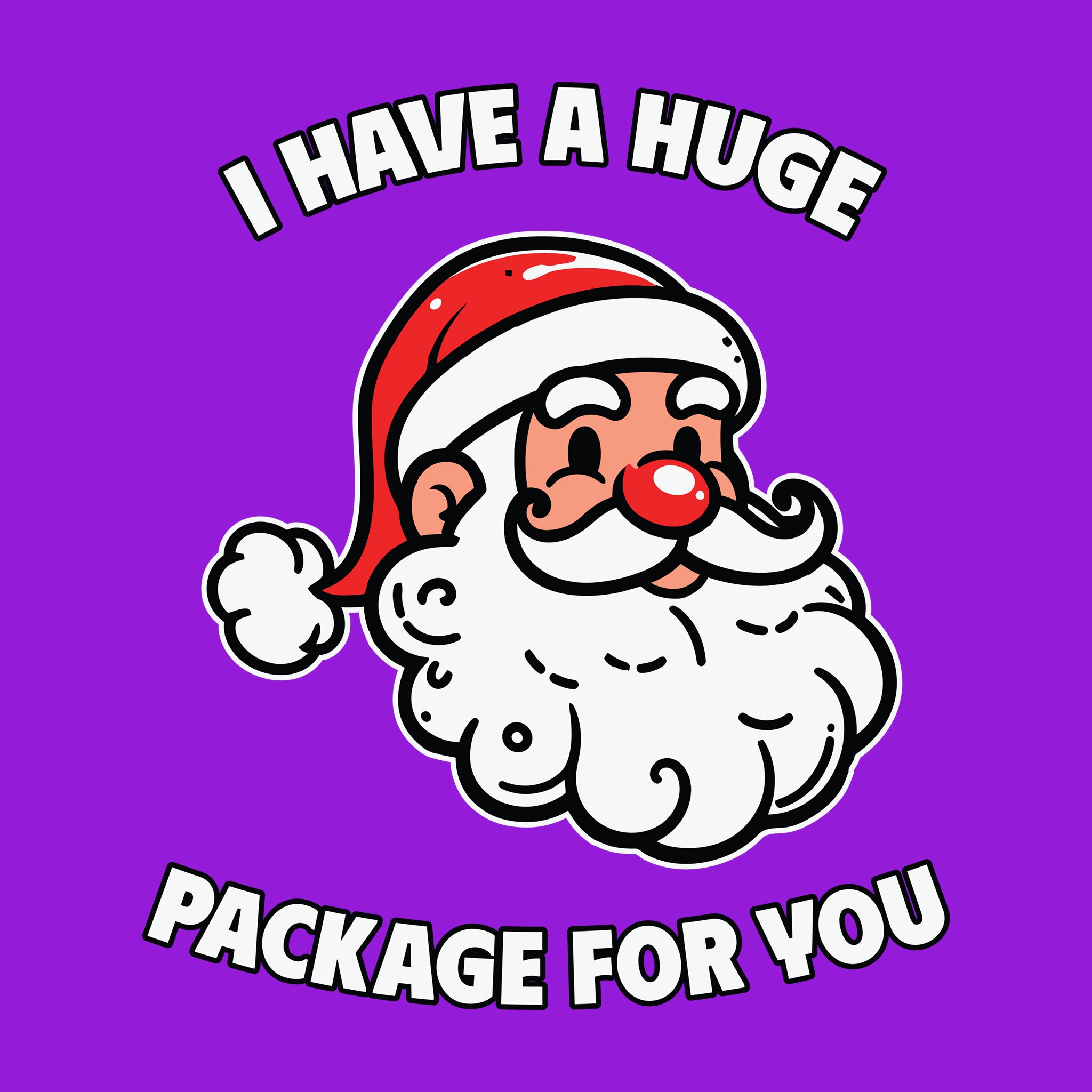 Santa I Have A Huge Package for You