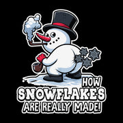 How Snowflakes Are Really Made