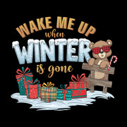 Wake Me Up When Winter is Gone