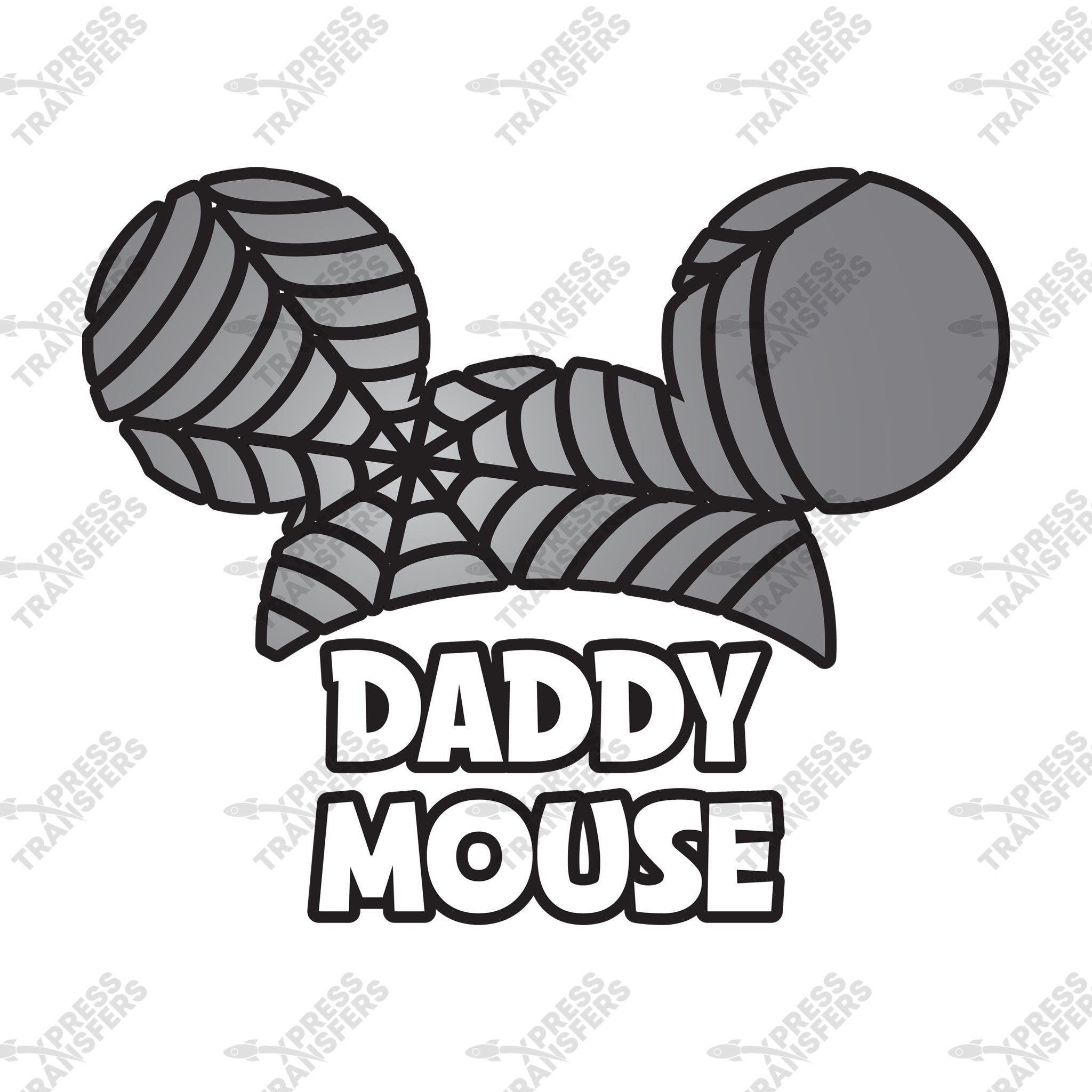 Daddy Mouse Spider Web