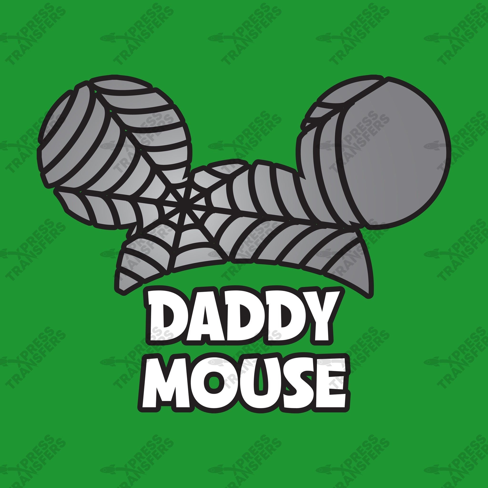 Daddy Mouse Spider Web
