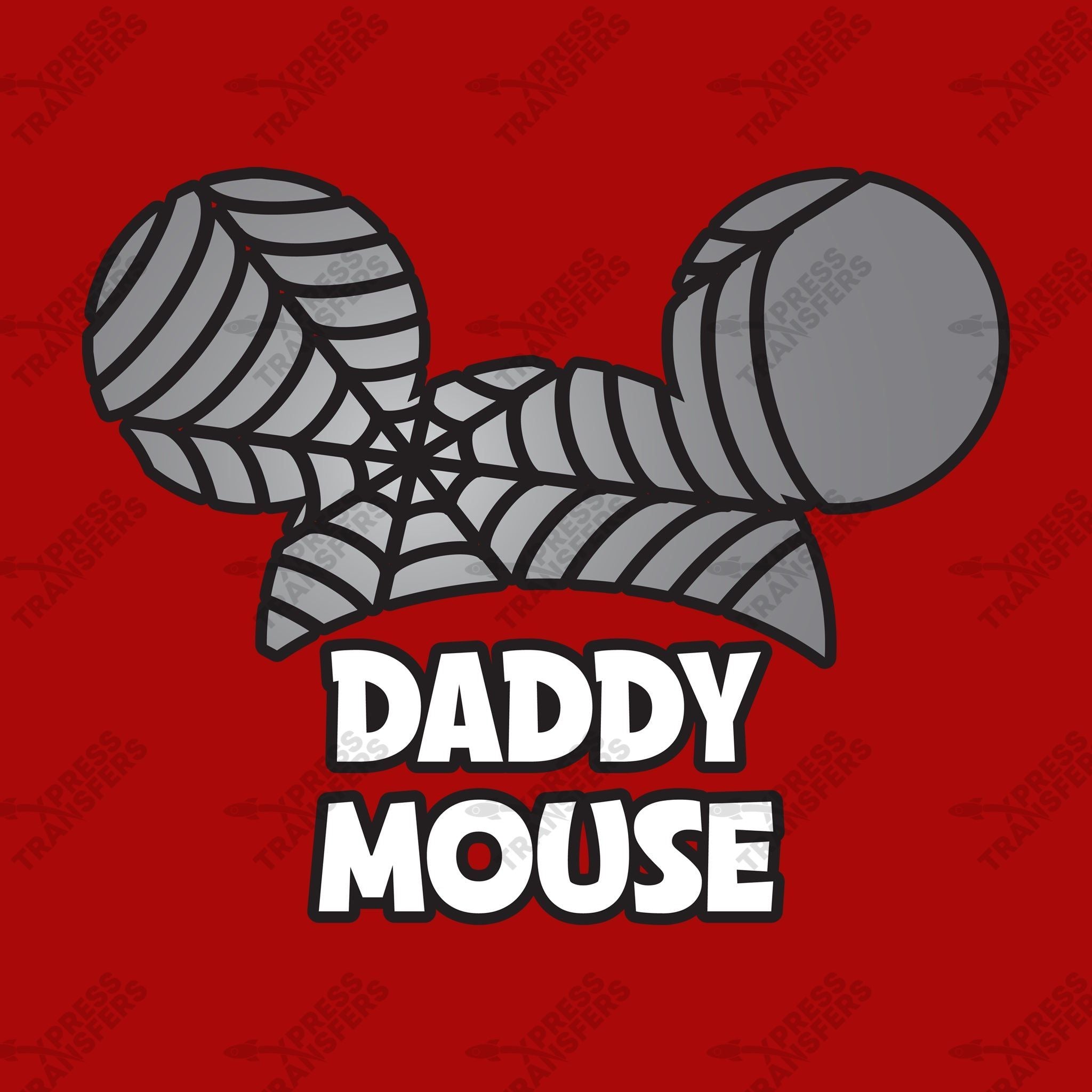 Daddy Mouse Spider Web