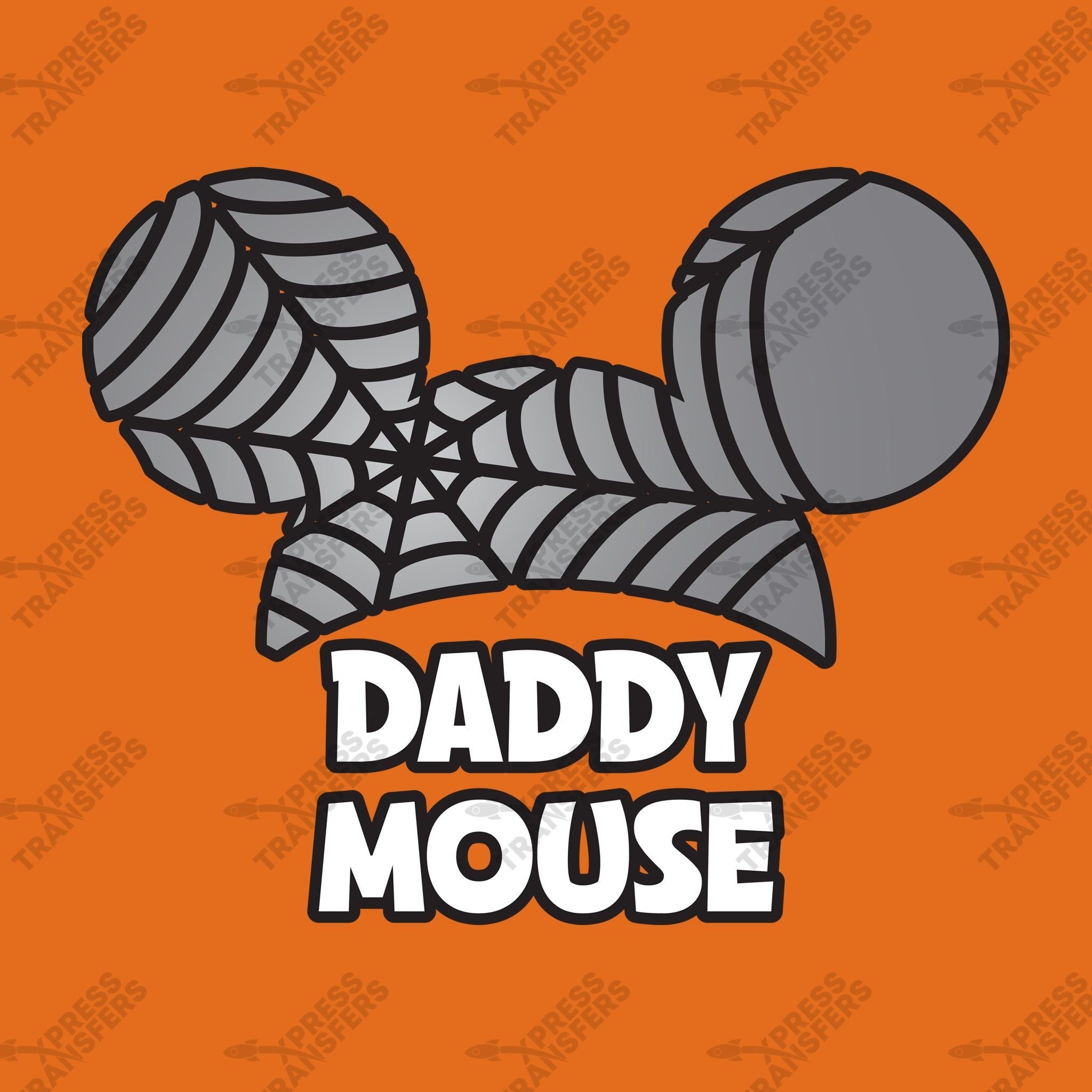 Daddy Mouse Spider Web