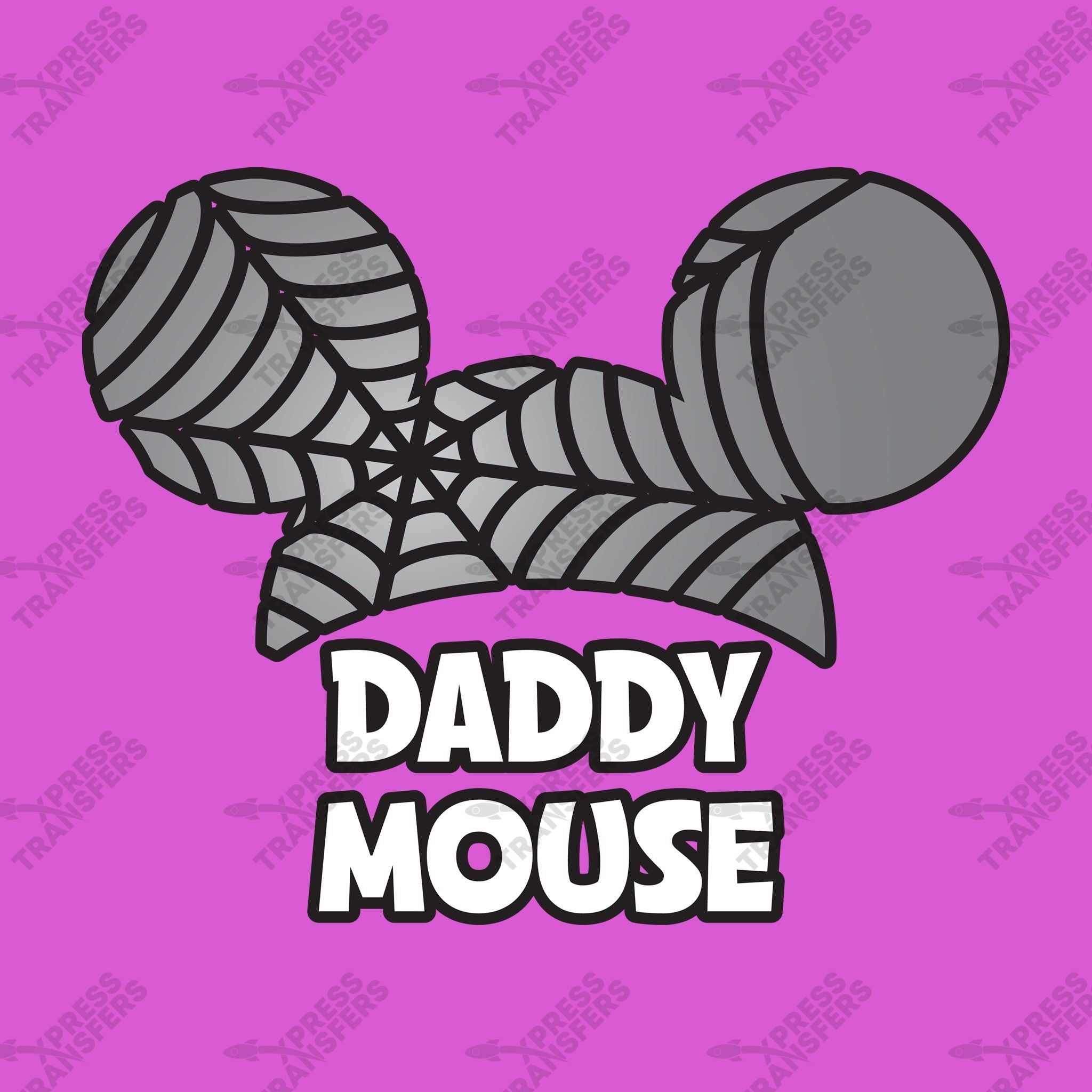 Daddy Mouse Spider Web