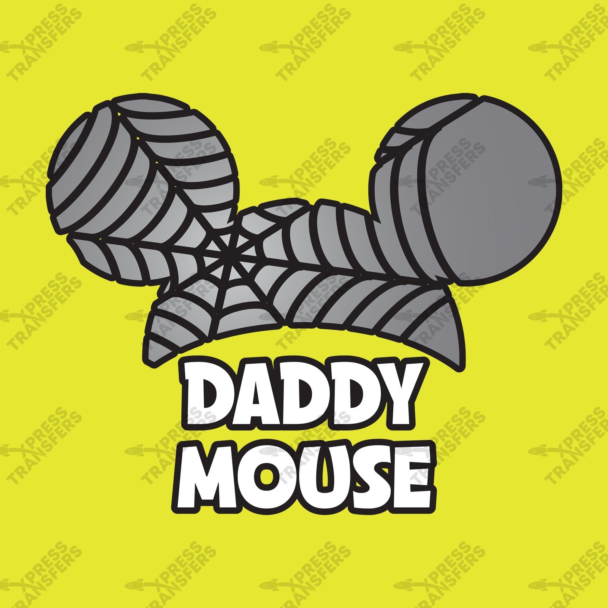 Daddy Mouse Spider Web