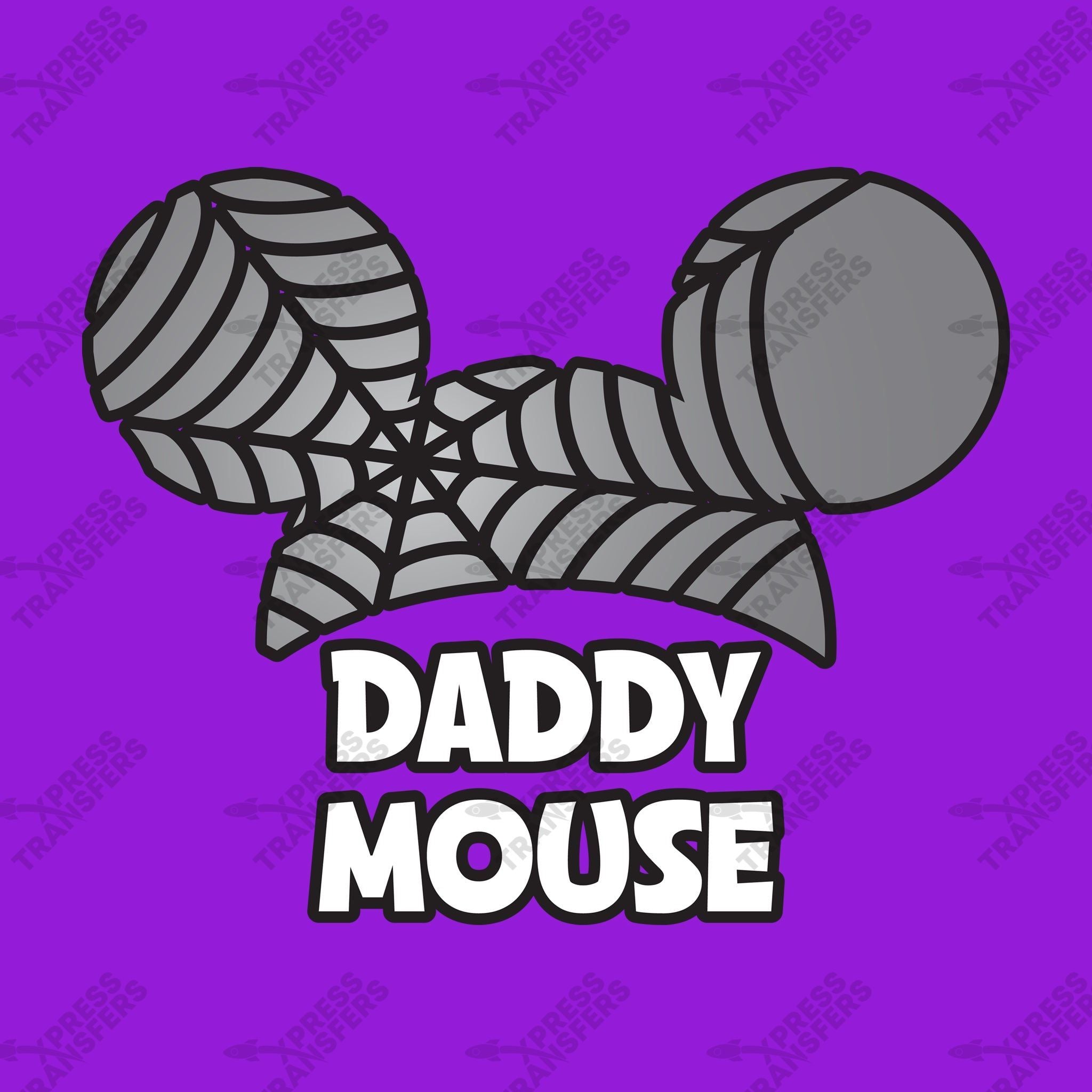 Daddy Mouse Spider Web