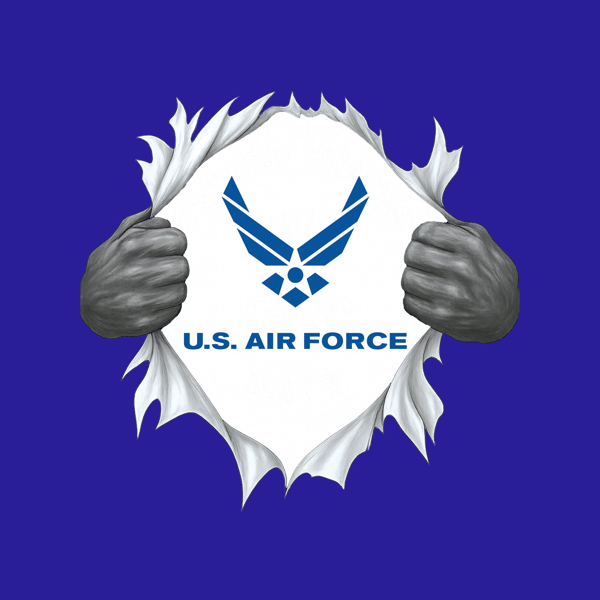 Chest Rip US Air Force