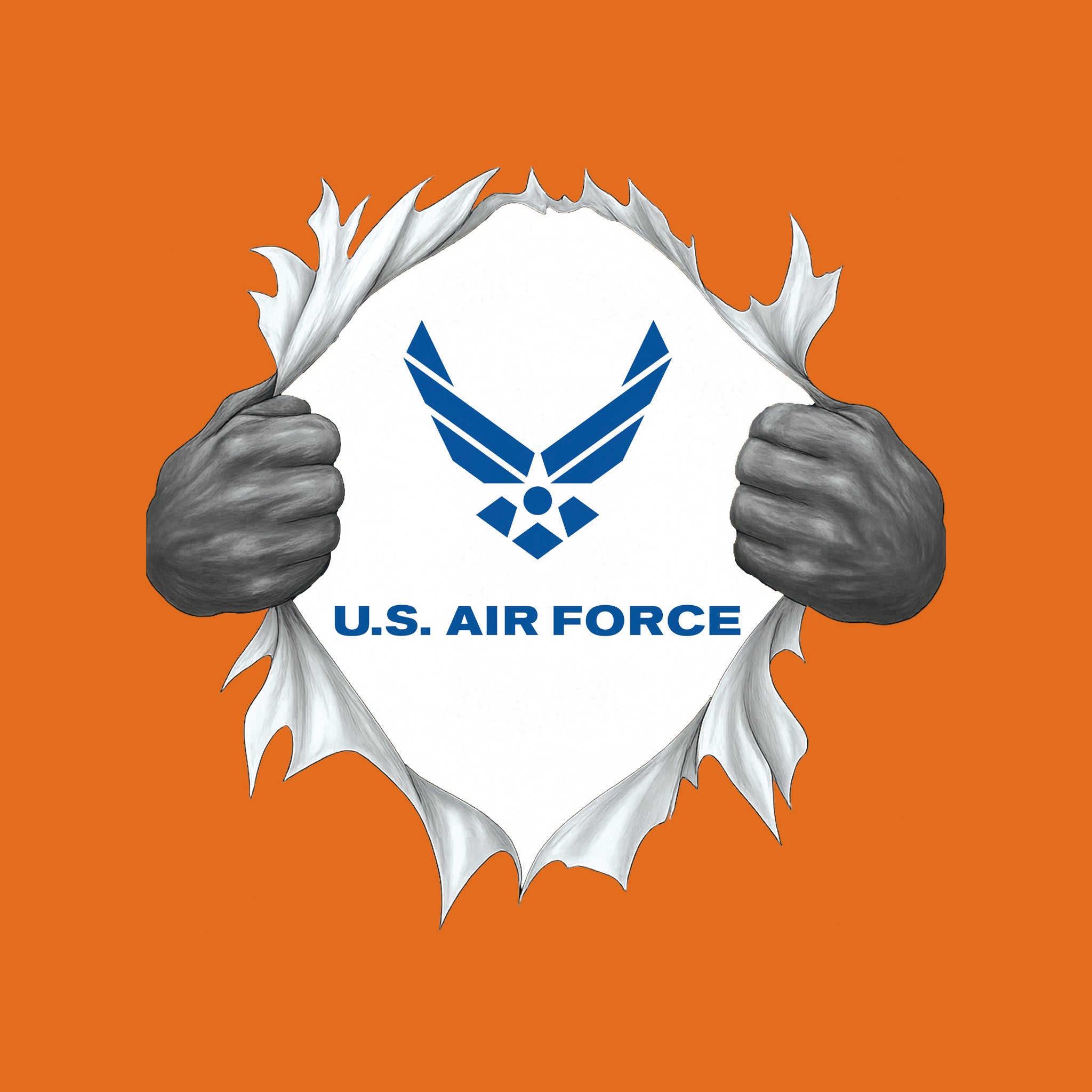 Chest Rip US Air Force
