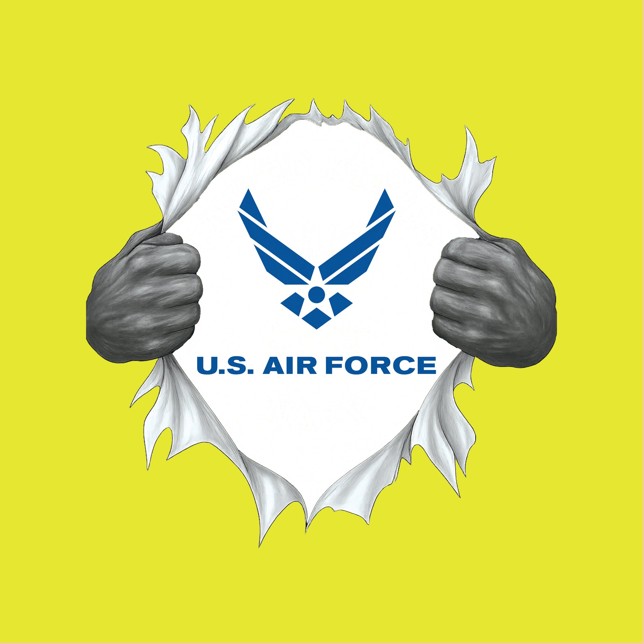 Chest Rip US Air Force