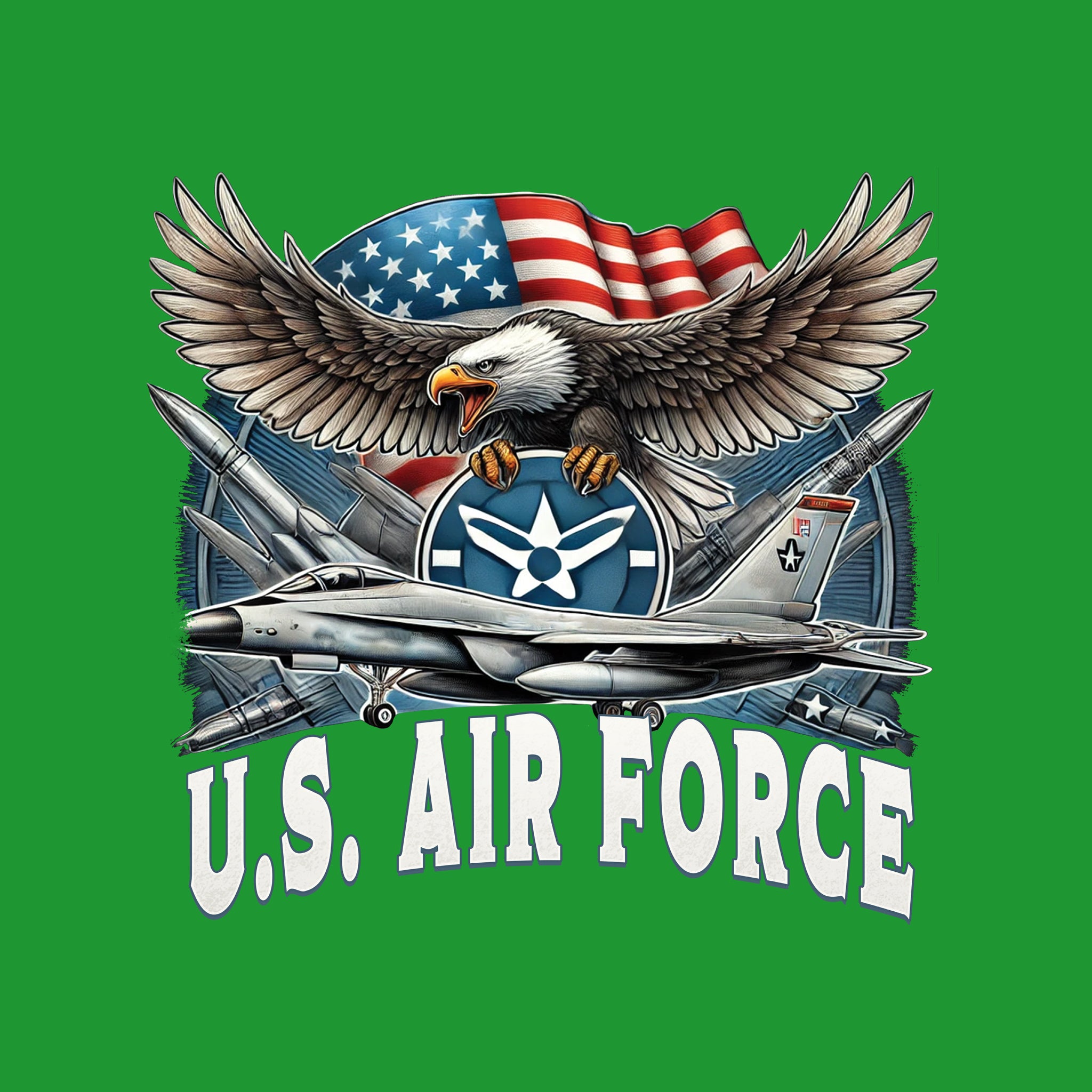 US Air Force Eagle