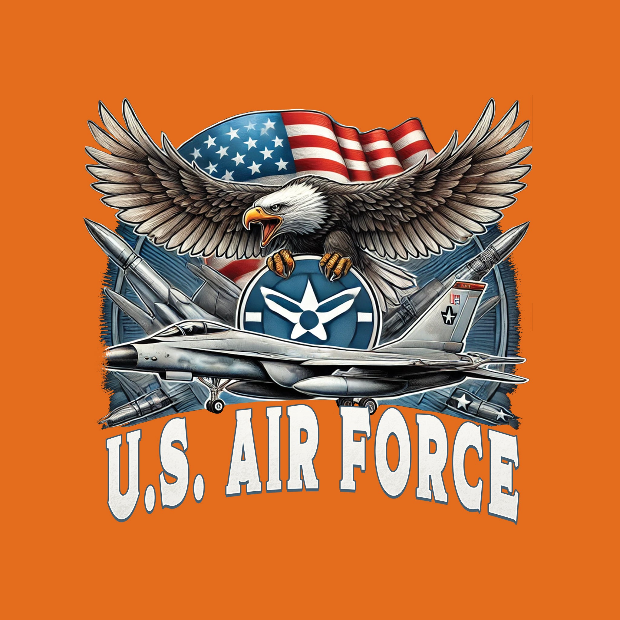 US Air Force Eagle