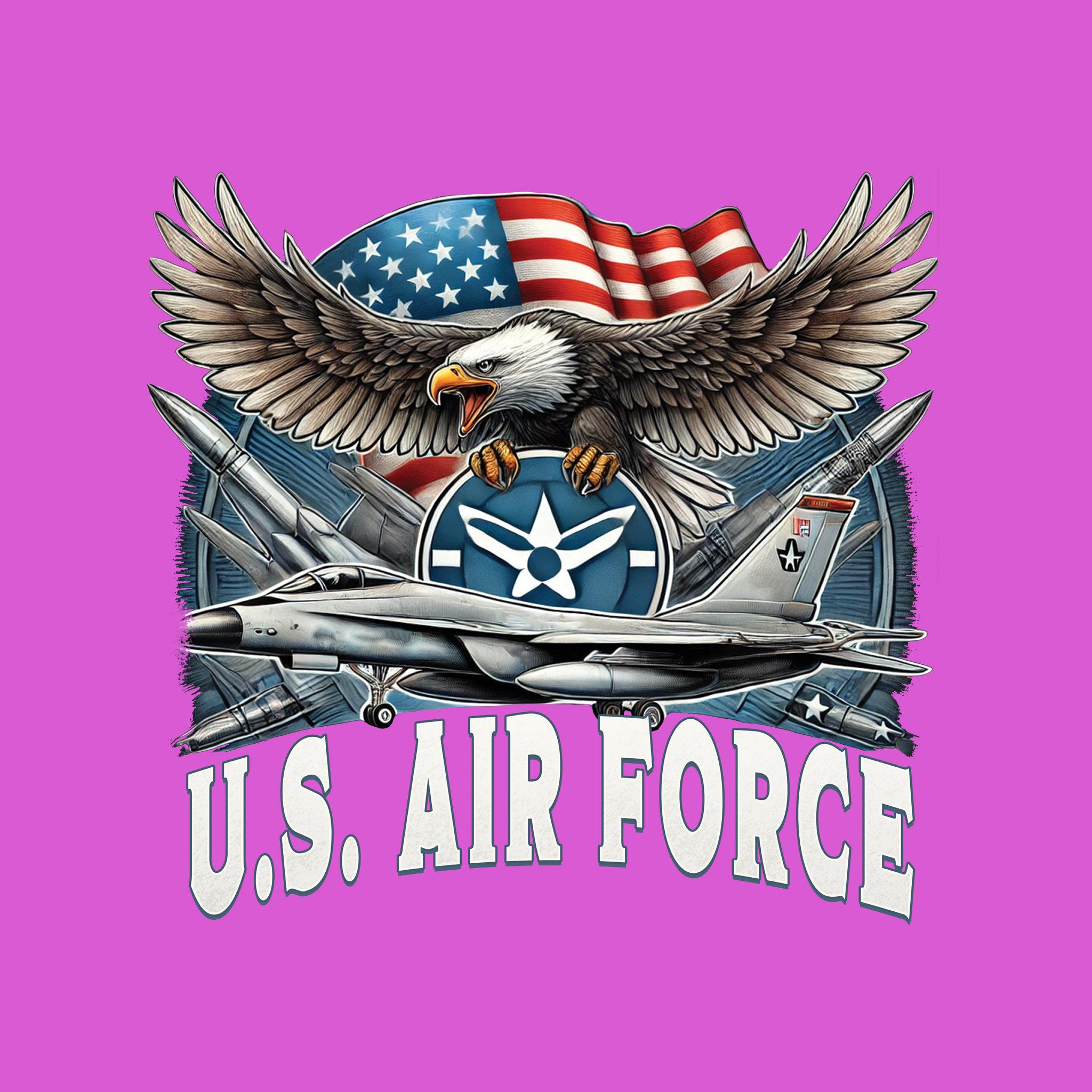 US Air Force Eagle