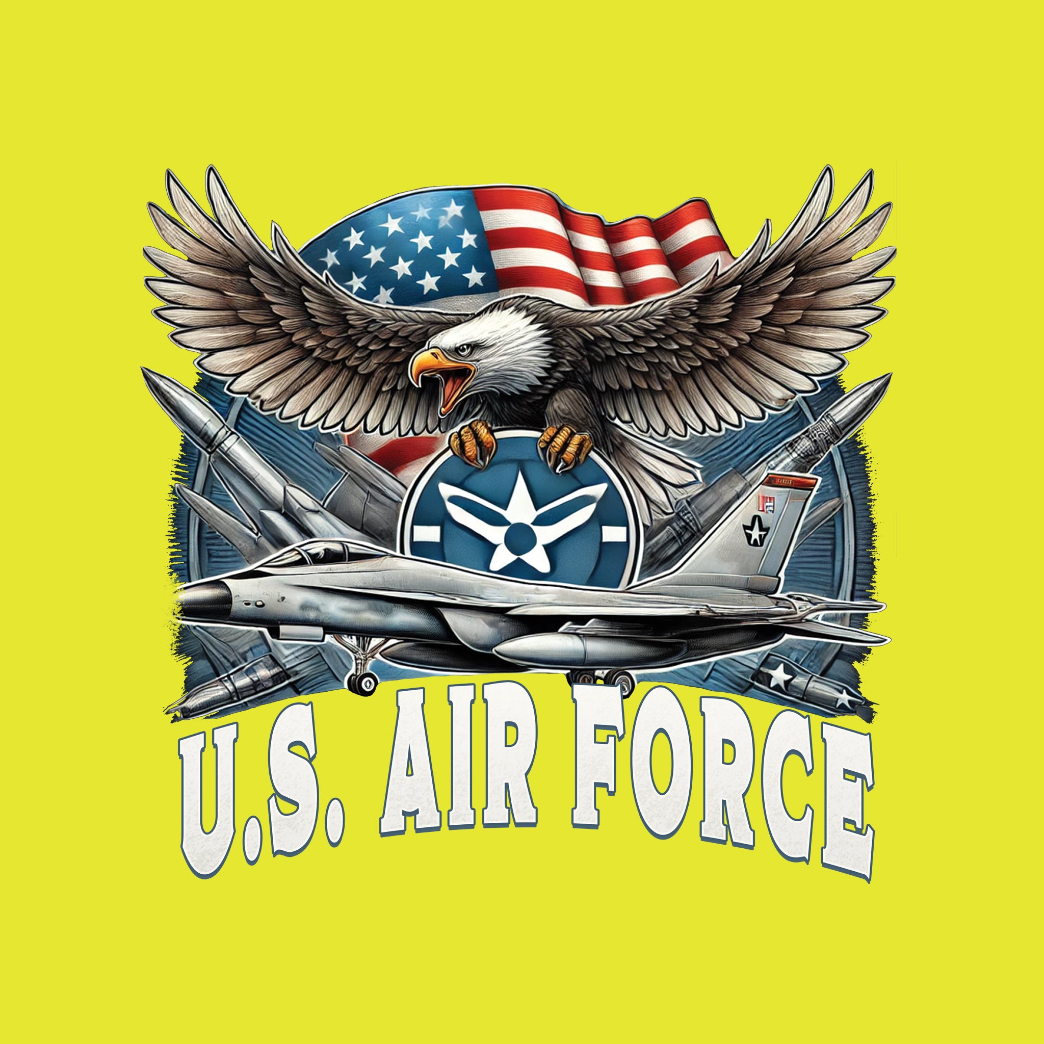 US Air Force Eagle